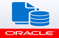 Oracle数据库管理工具有哪些?-北京平博线上平台,平博（中国）公司