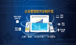 Erp平博线上平台,平博（中国）的发展现状-北京平博线上平台,平博（中国）公司锐智互动