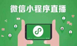 微信小程序开发、直播小程序开发-锐智互动平博线上平台,平博（中国）公司 