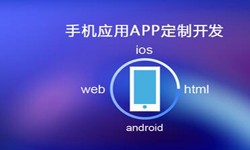 APP开发市场上常见问题分析-北京平博线上平台,平博（中国）公司